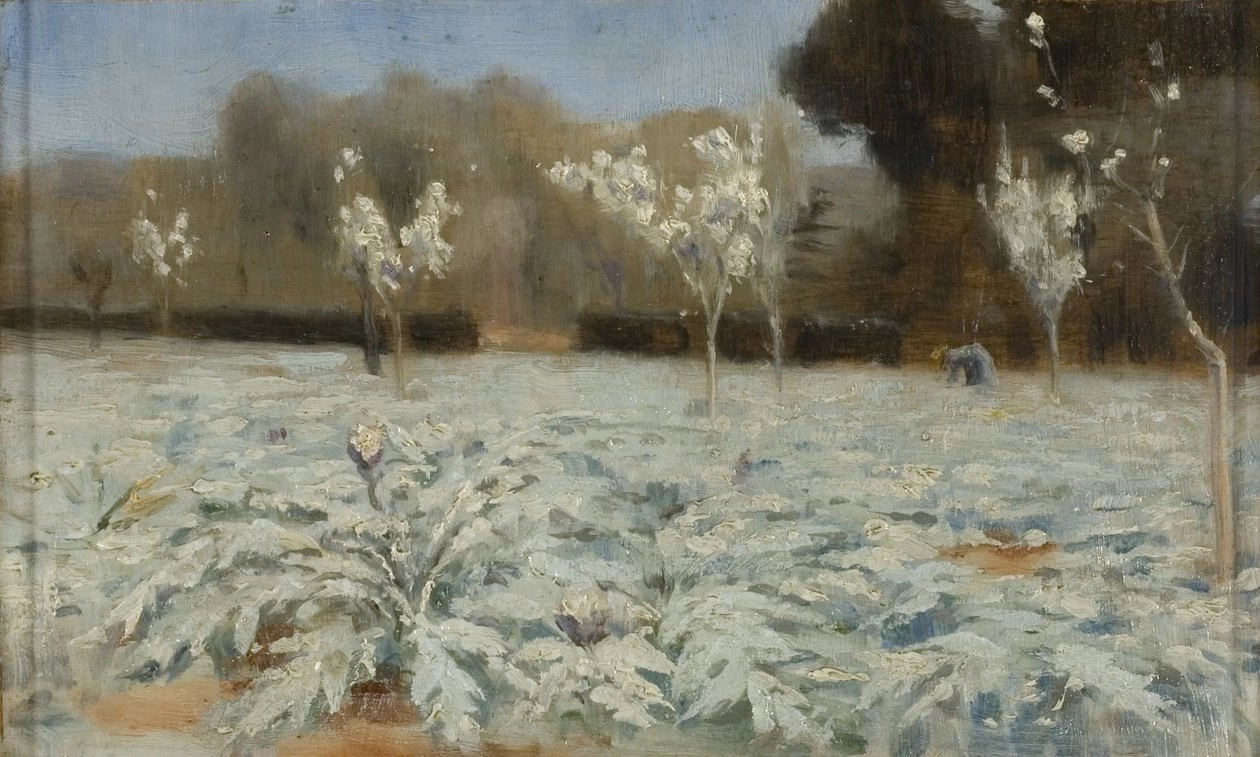 Carciofi Hyeres 1883